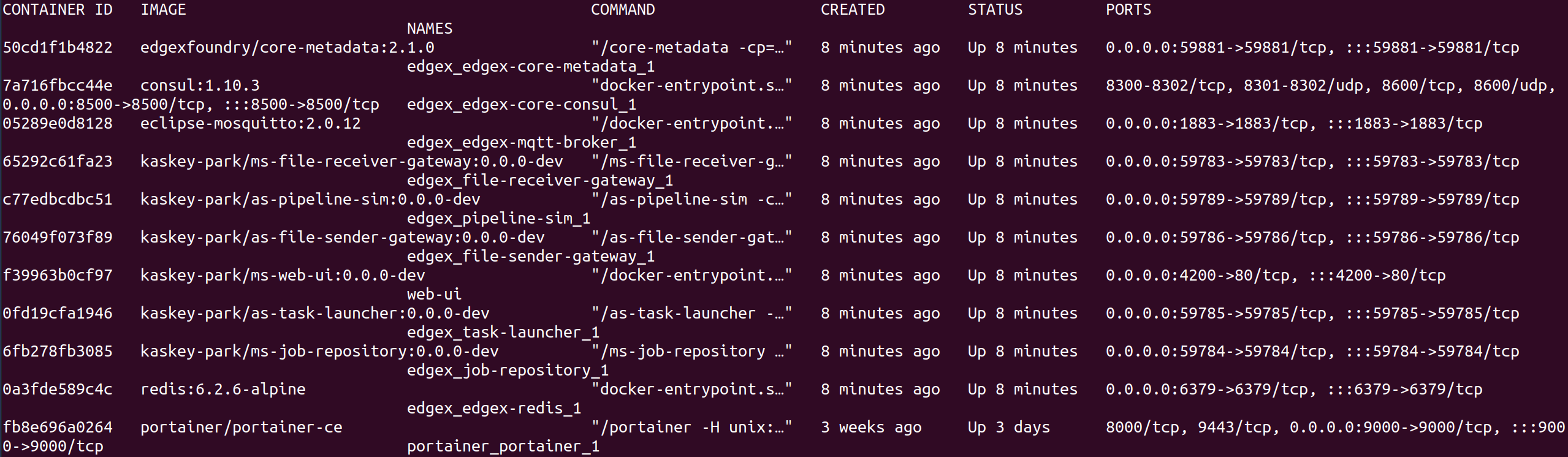 Figure 7: Docker Container List